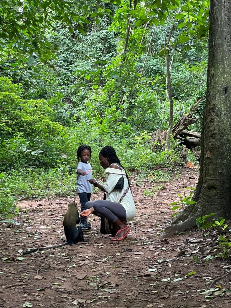 Monkey Sanctuary